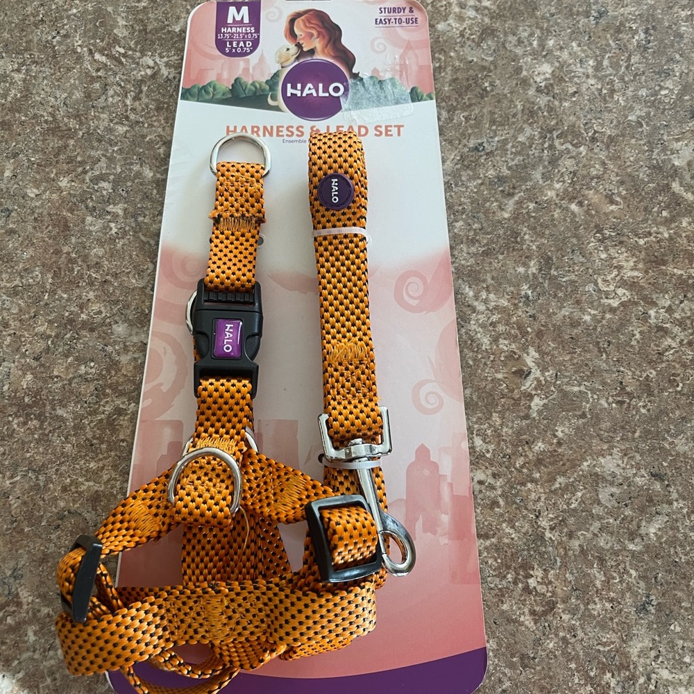 New Dog Harness and Lead Set